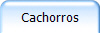 Cachorros